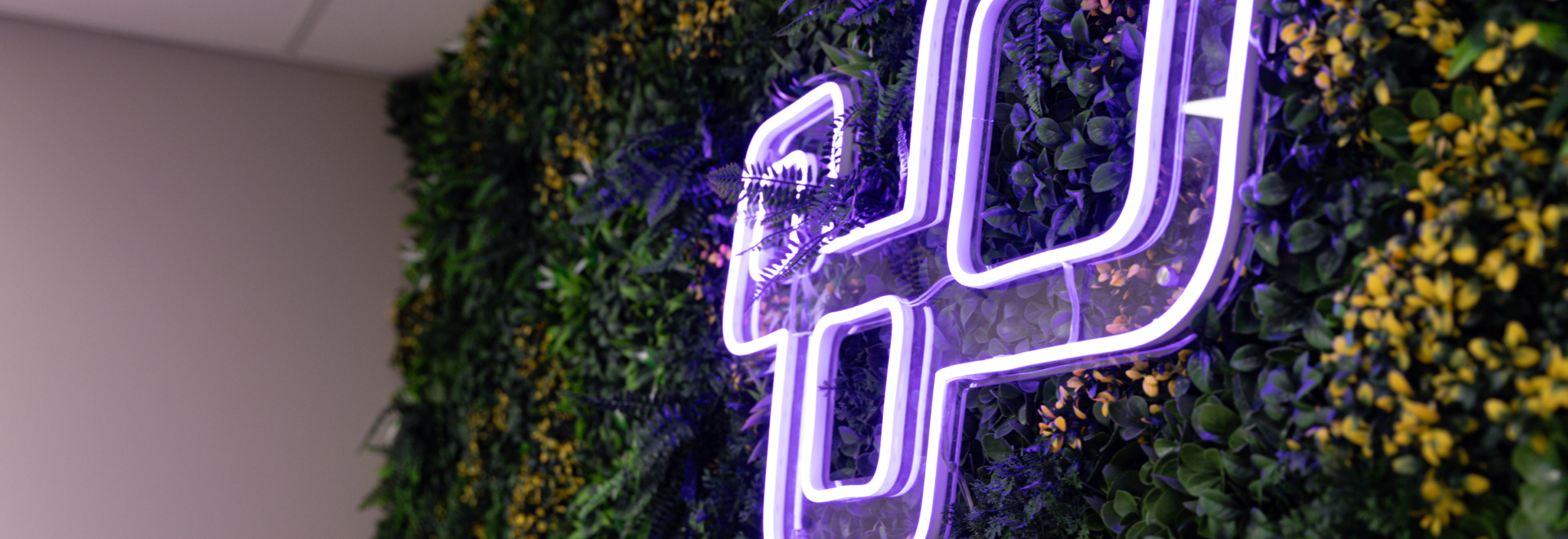 Lichtgevende logo van Booosters op een groene wand